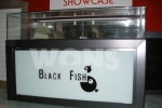 Black Fish 02